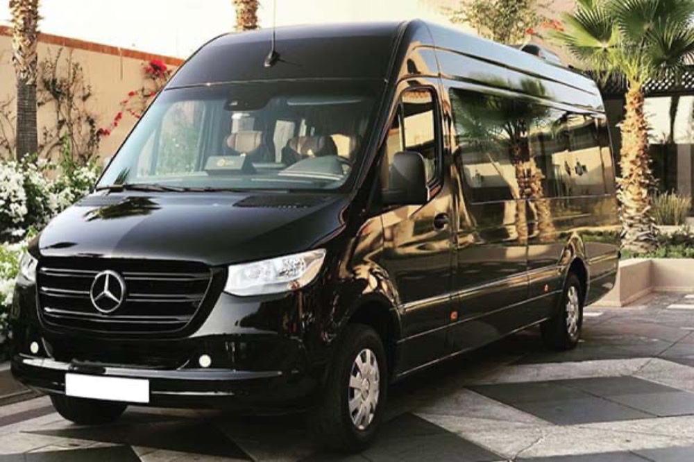 Luxury Mini Bus